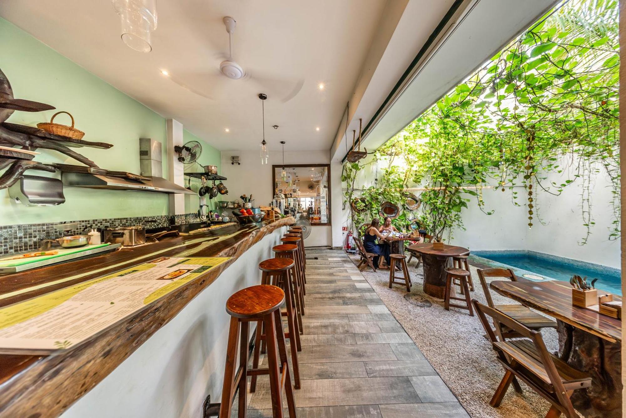 פלאייה דל כרמן The Green Village Boutique Hotel מראה חיצוני תמונה